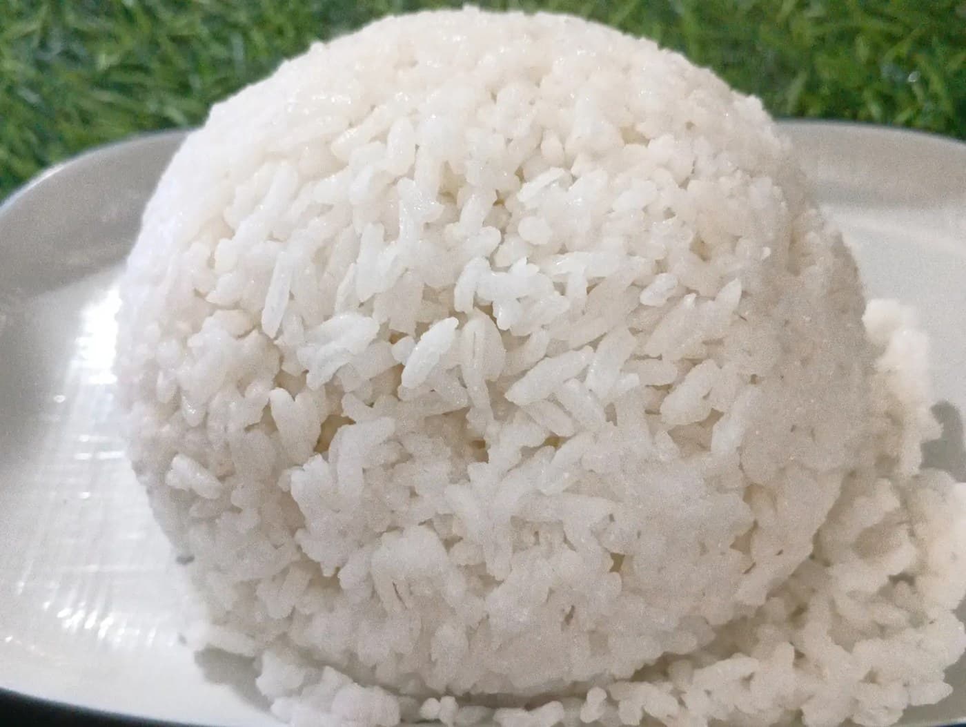 Plain rice