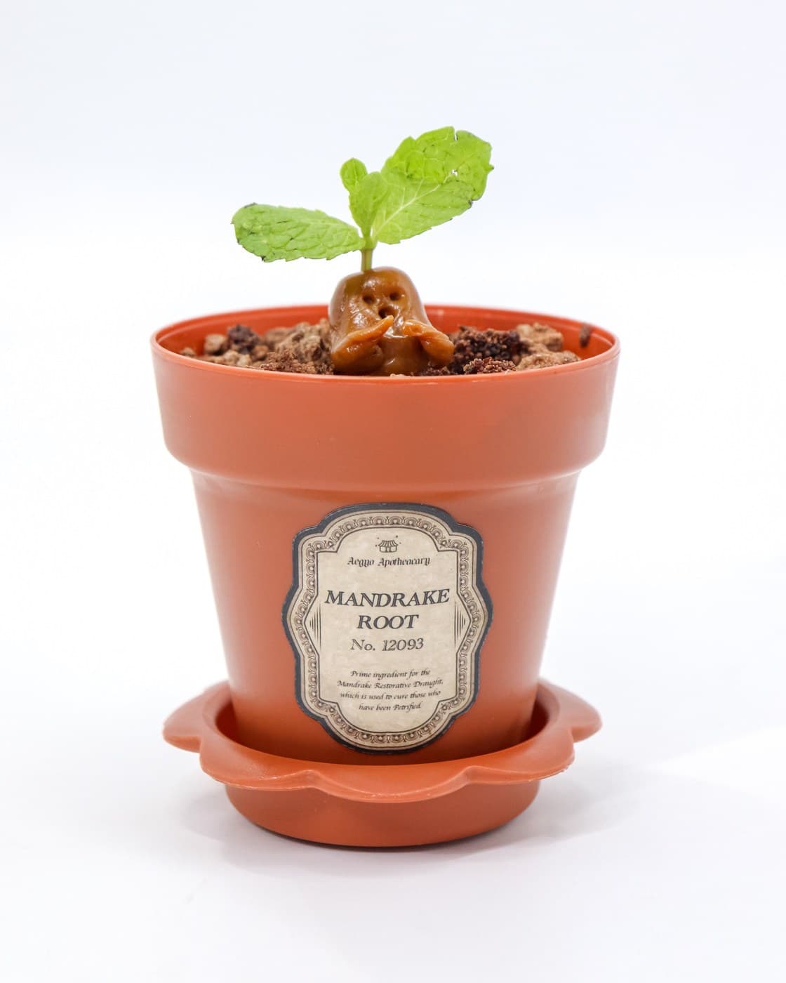 Manduraku Pistachio Pot