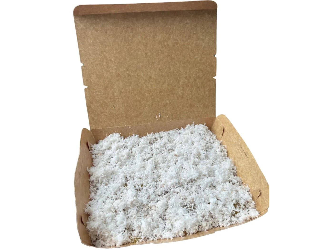 Medium Classic (Coconut)