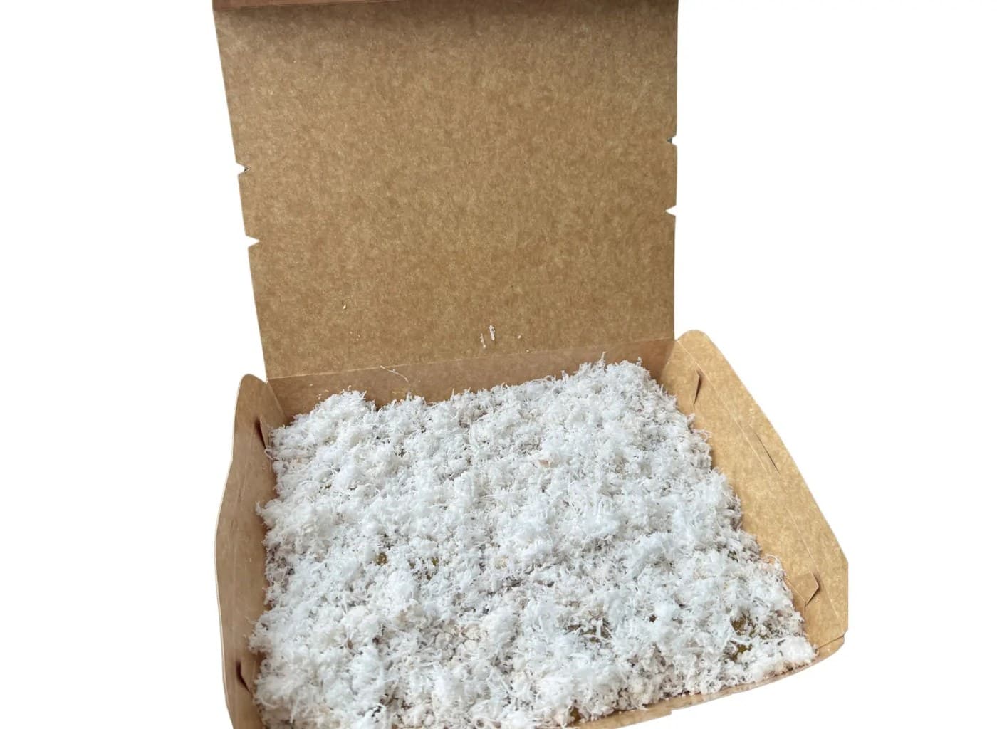 Large Classic (Coconut)