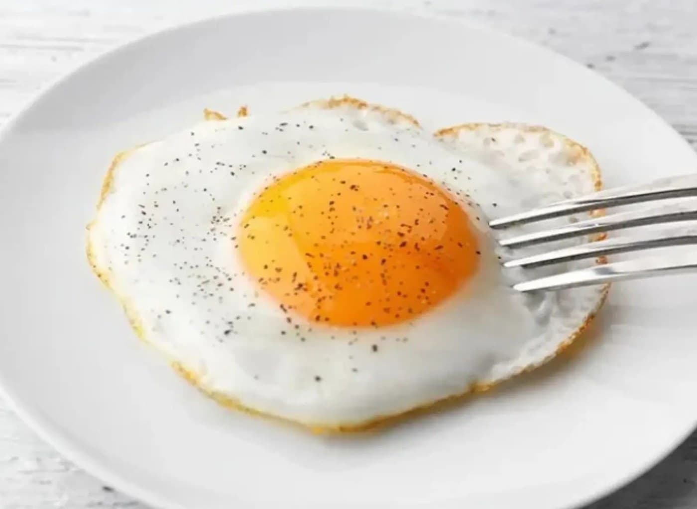Egg