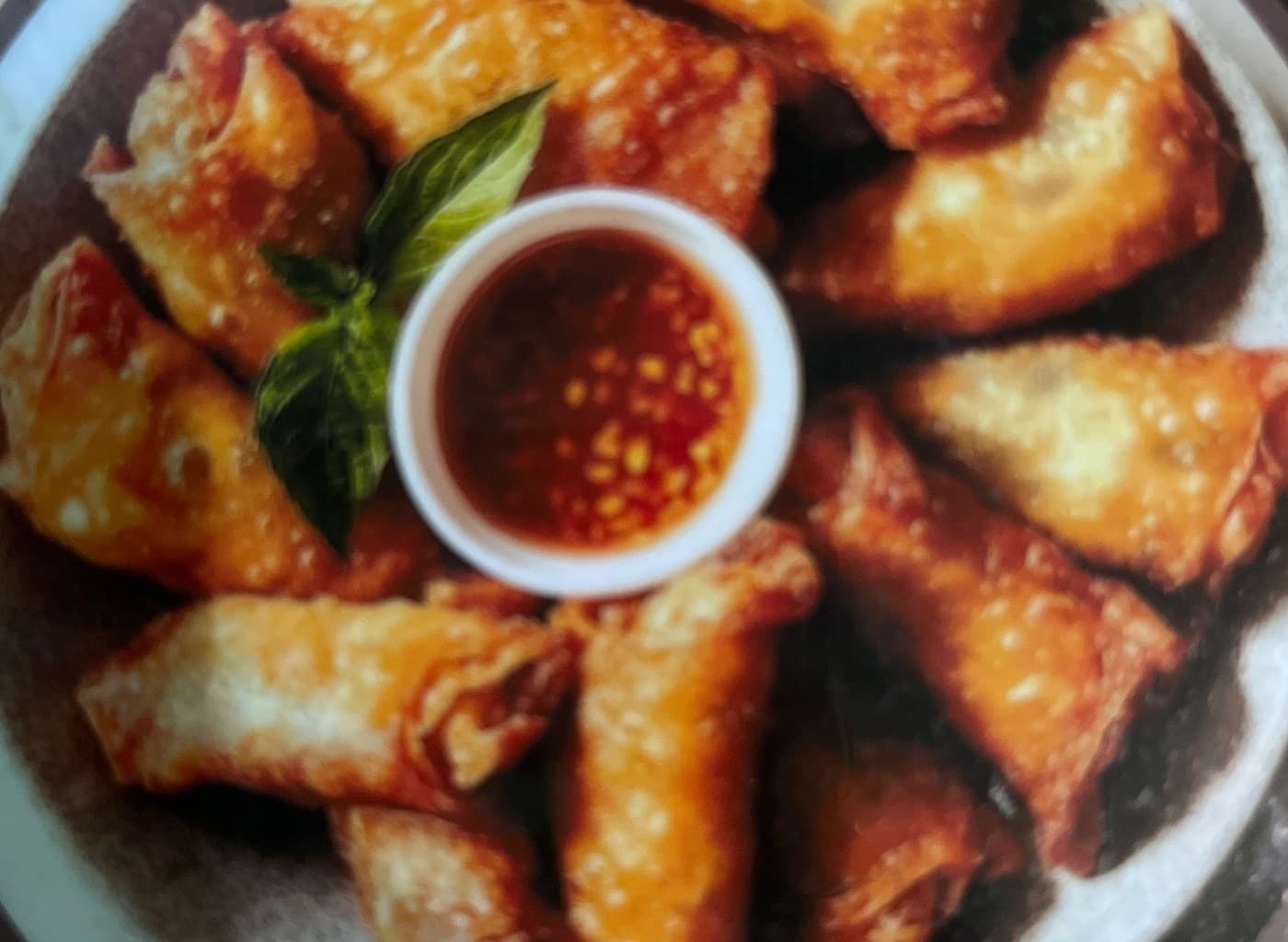 Spring Roll