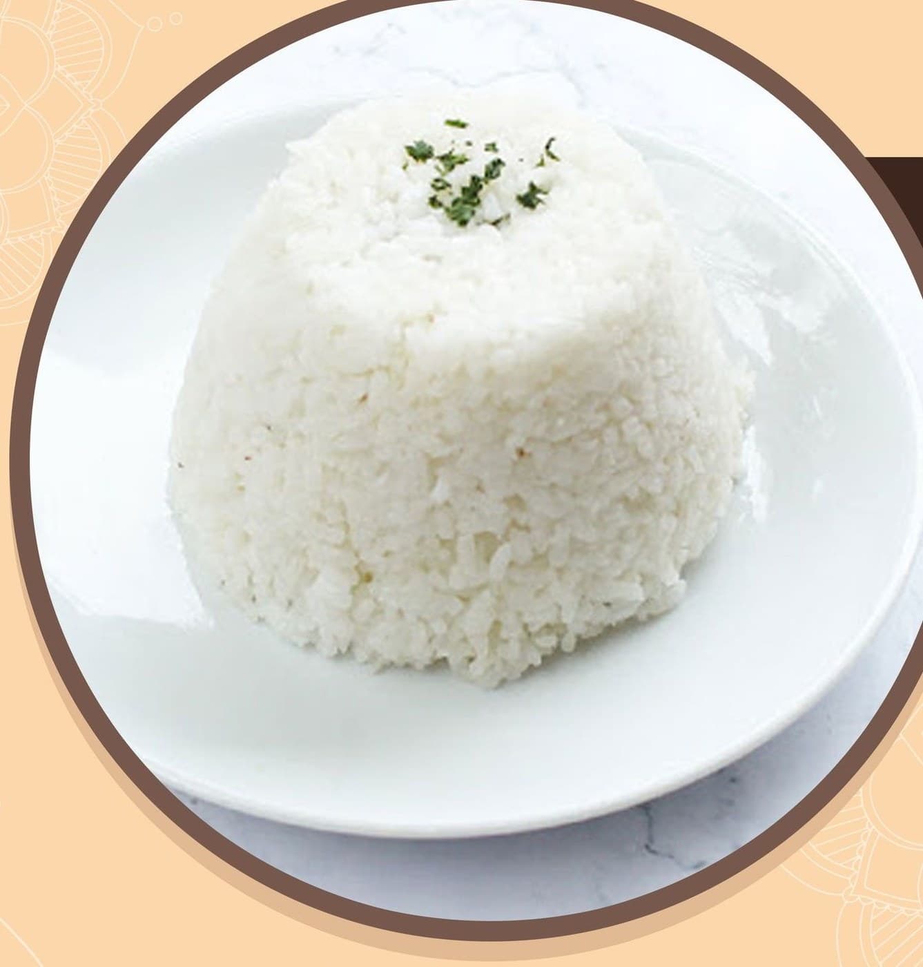 Rice plain