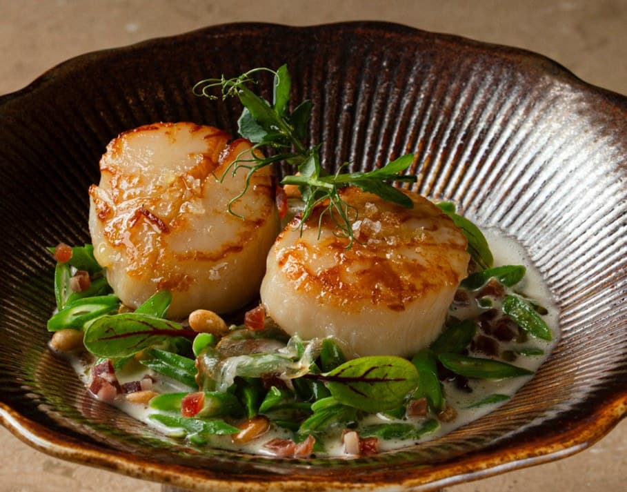 Scallops & Ibérico