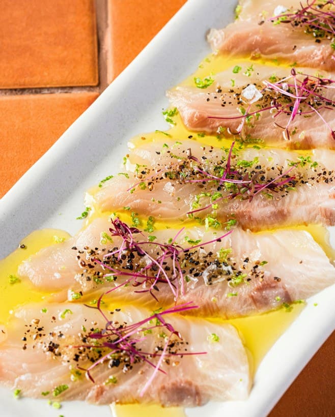 Snapper Crudo