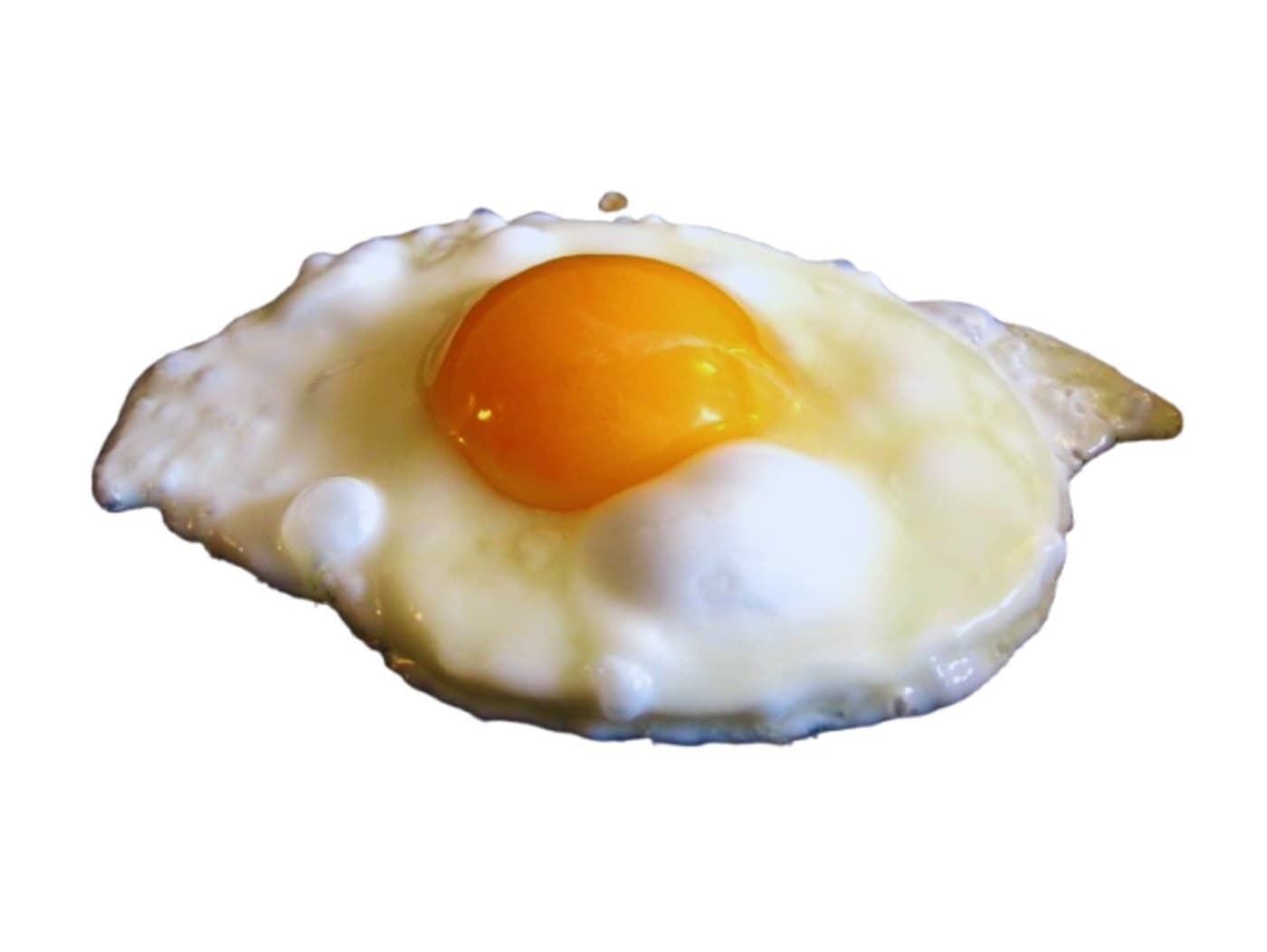 Fried Egg