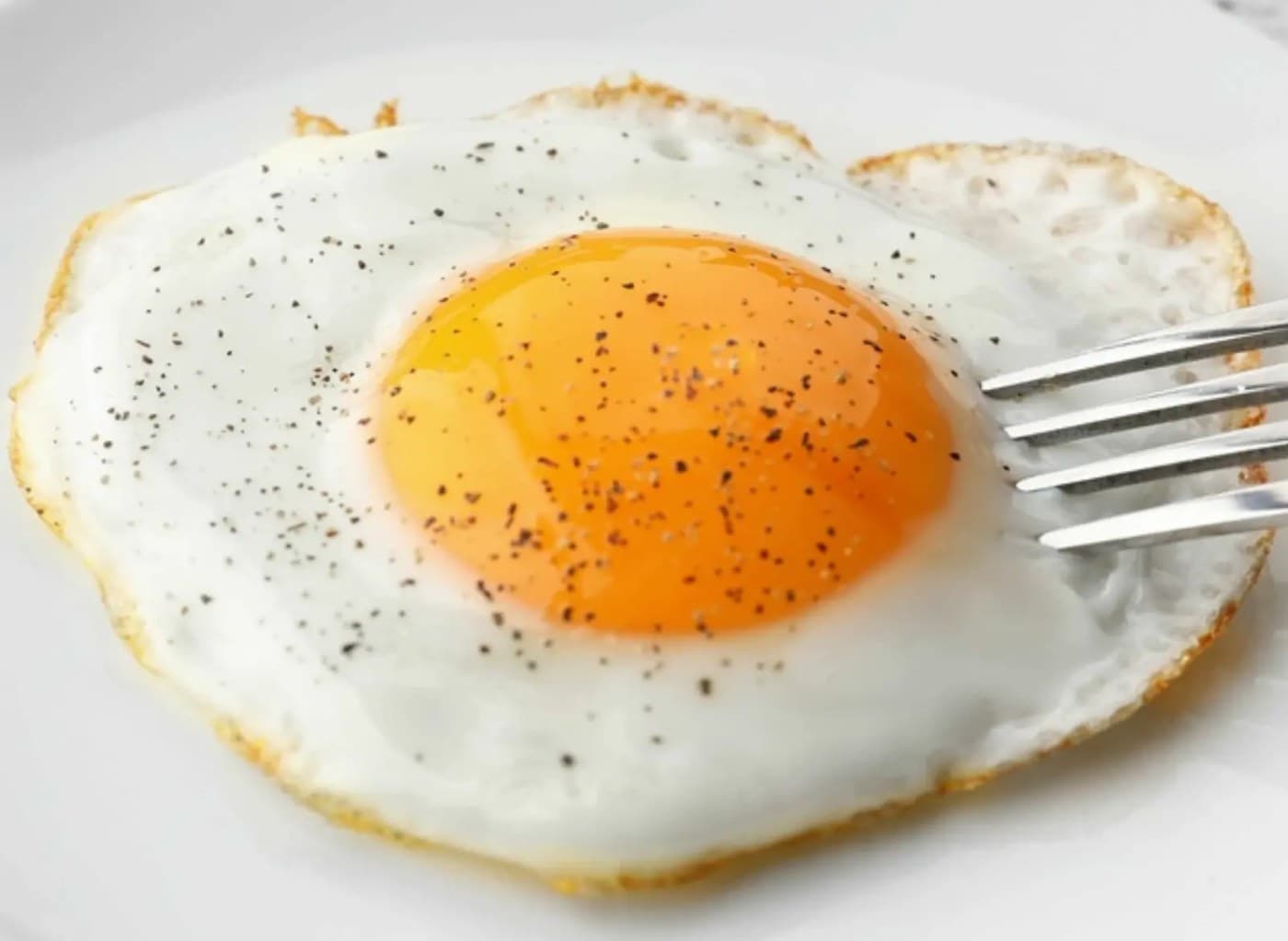 Egg