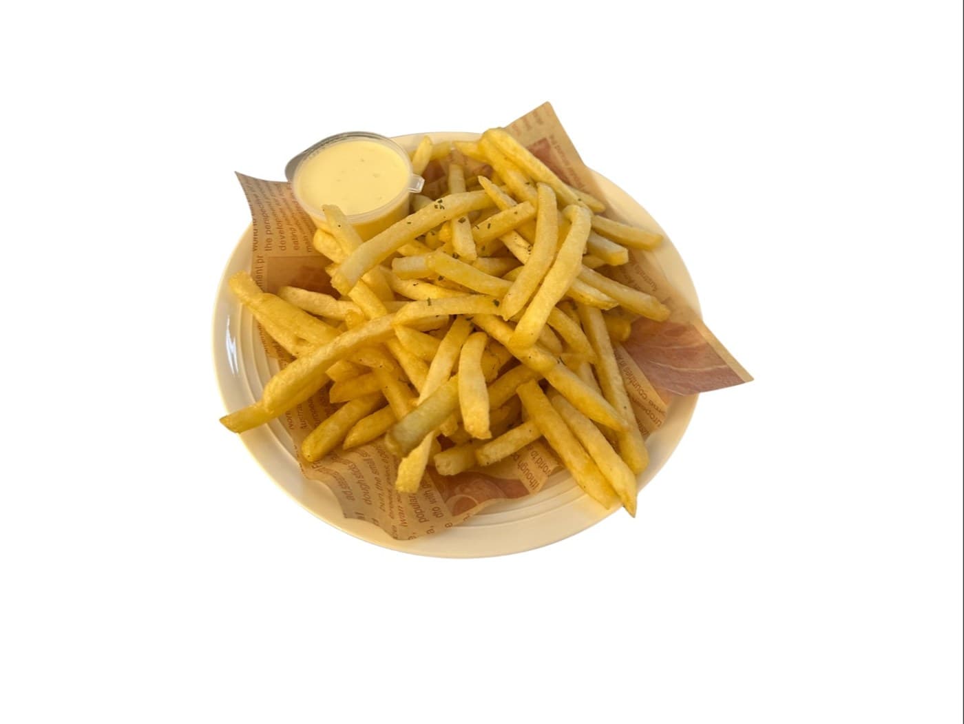 Regular Fries With Garlic Mayo