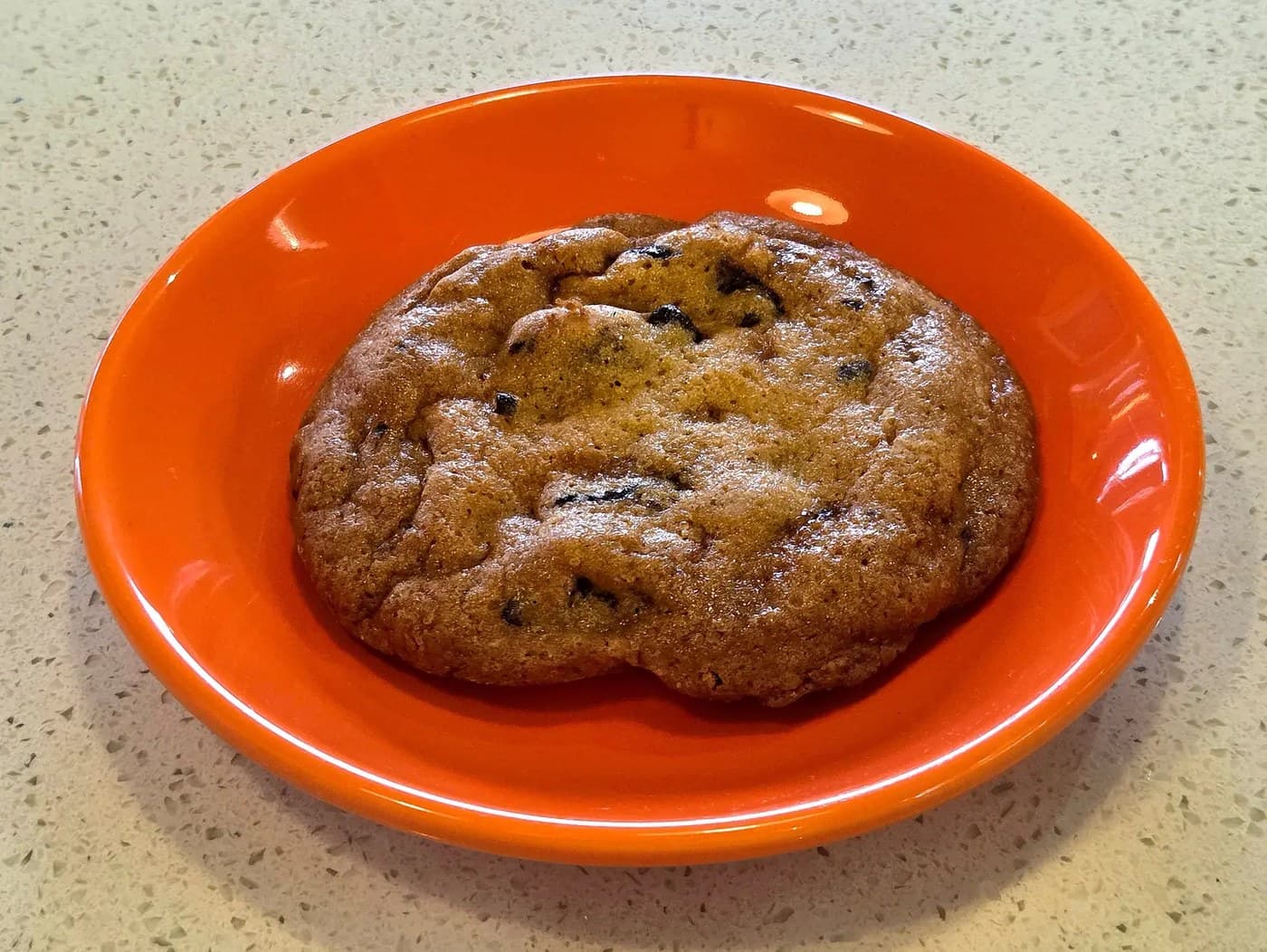 Wrinkled Choco Chip Cookie