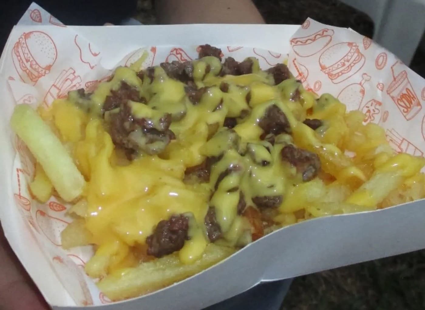 Shawarma Fries