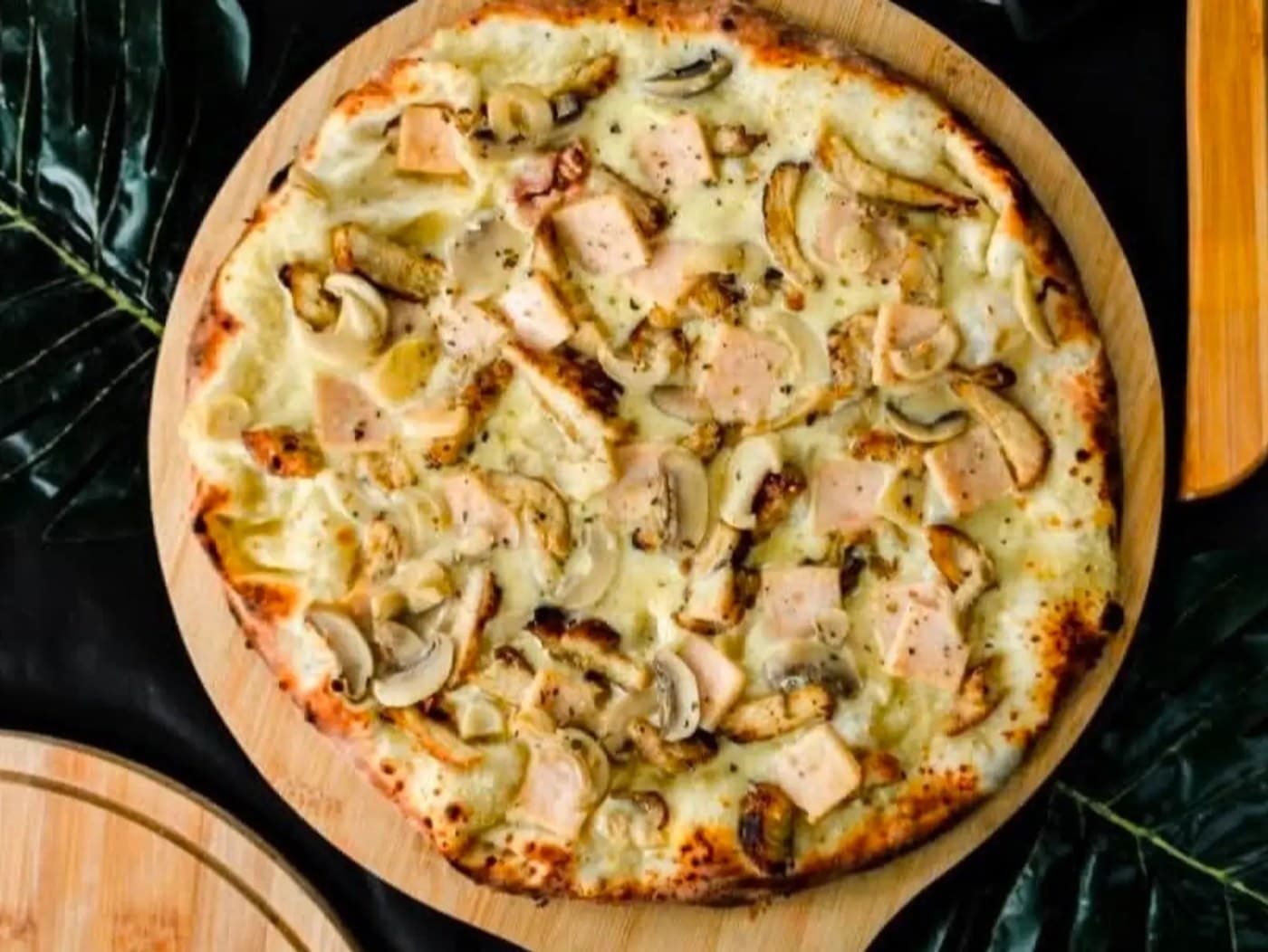 Chicken Alfredo