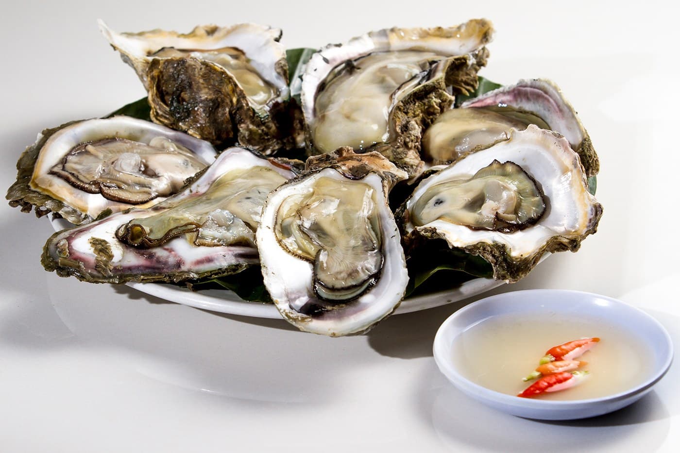 Talaba
