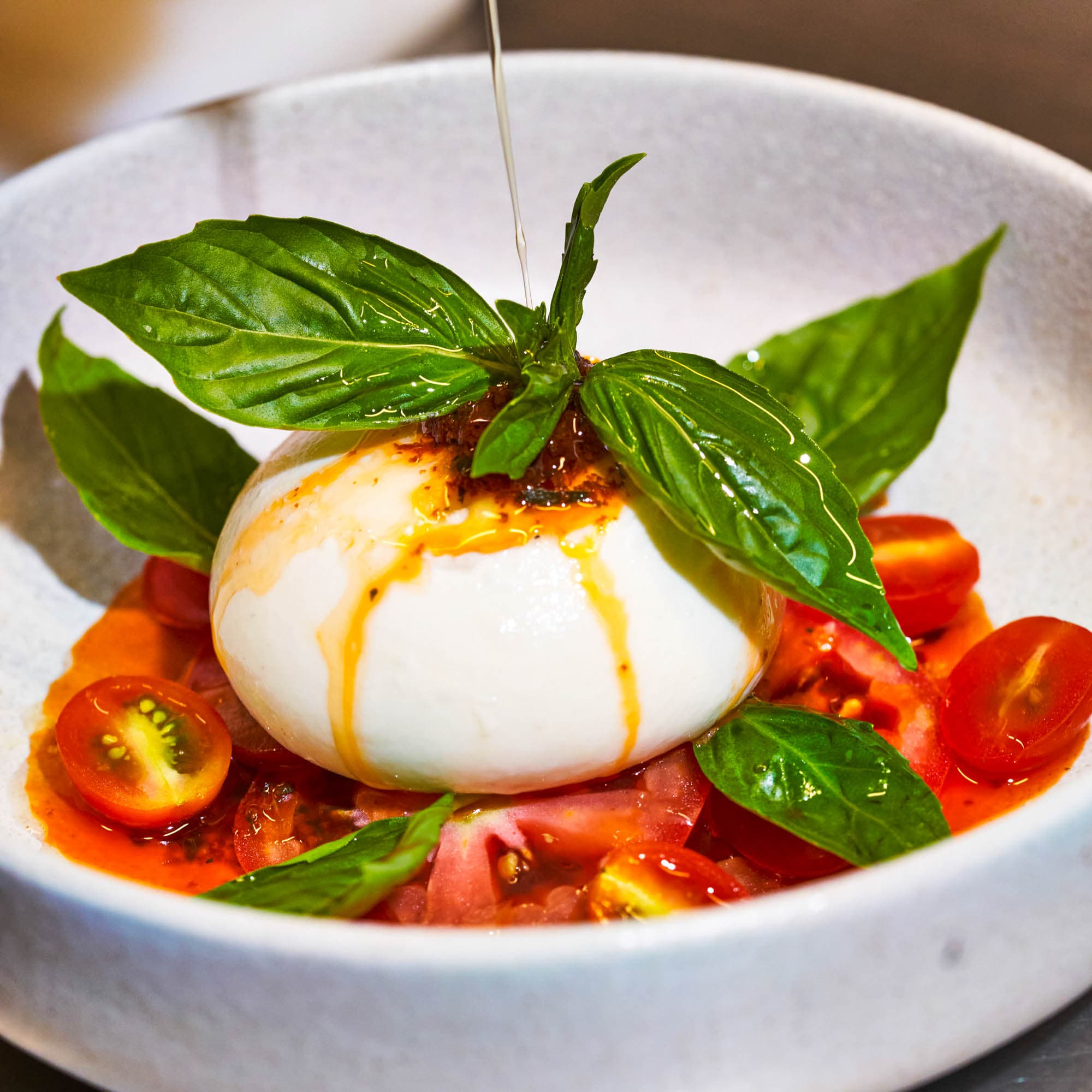 Real Burrata