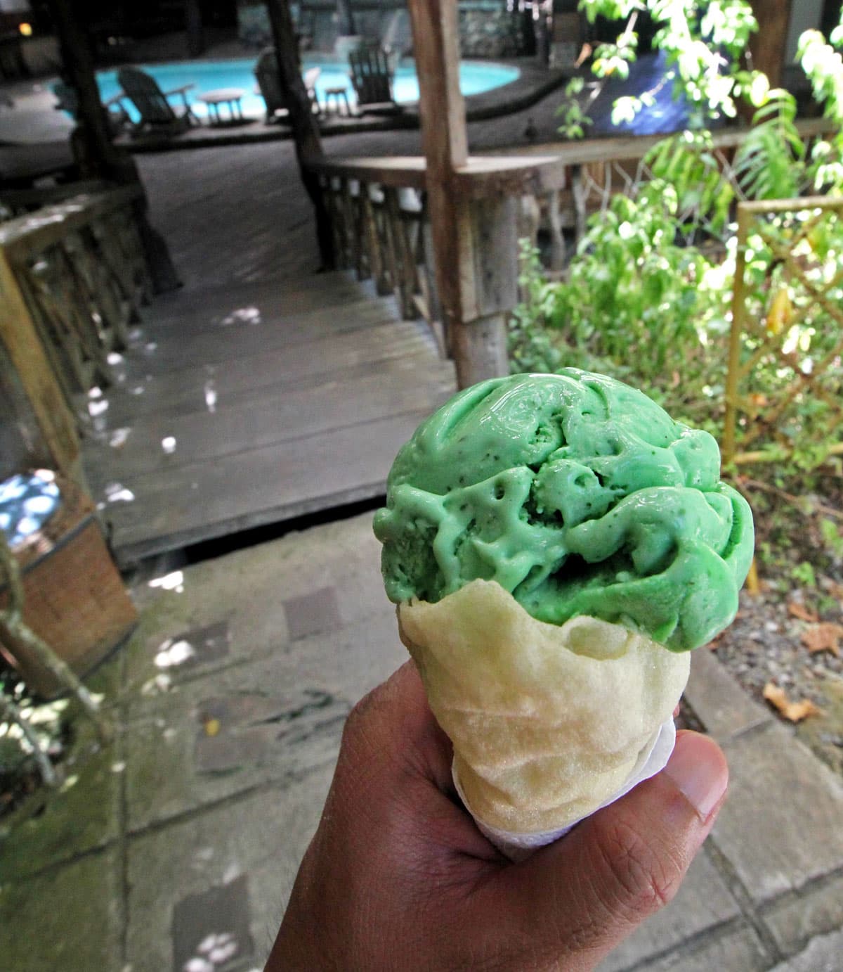 Malunggay Ice Cream