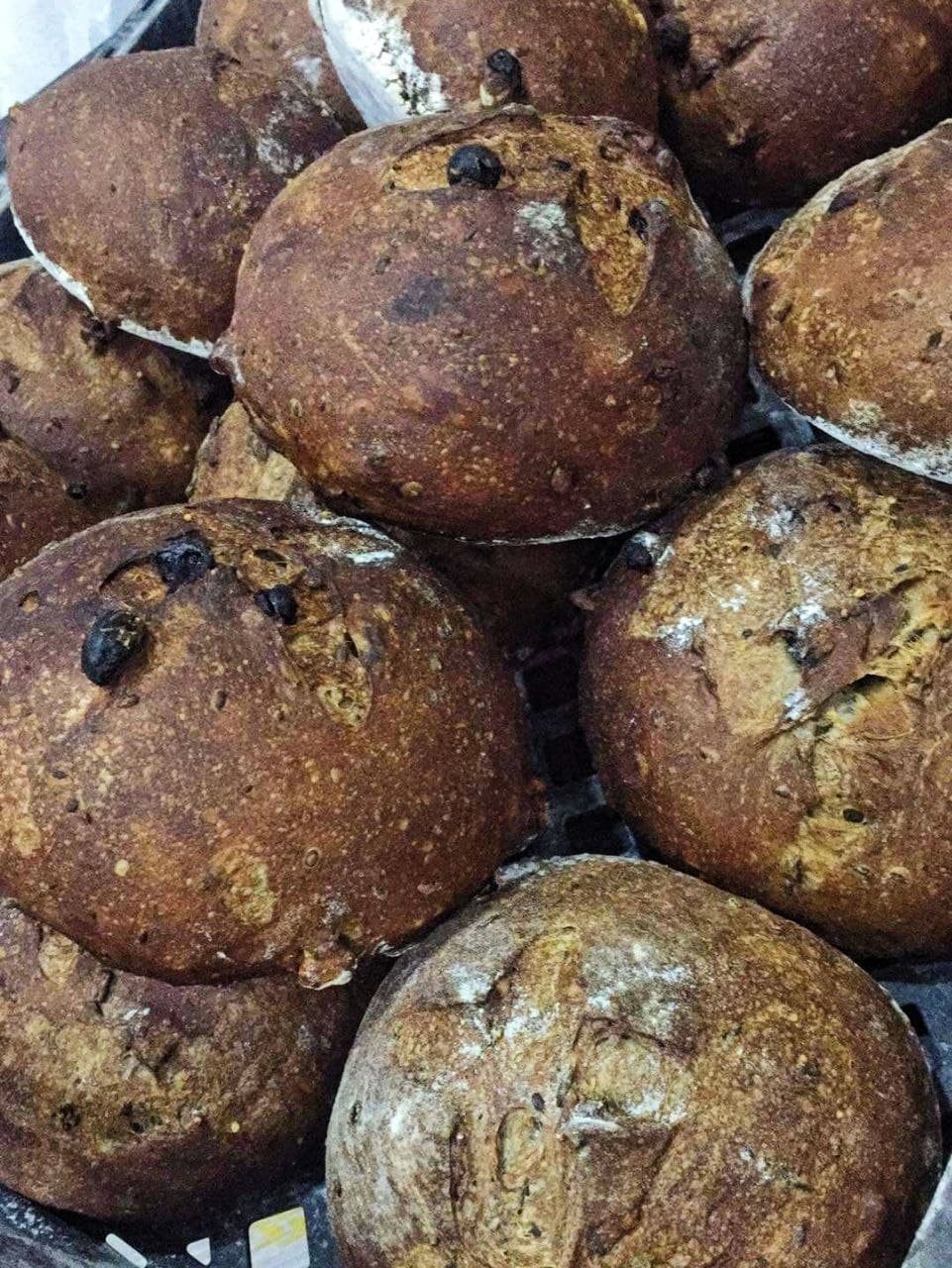 Fruit and Nut Bread