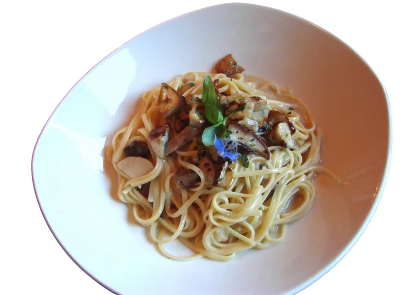 Fettuccine con Funghi e Tartufo