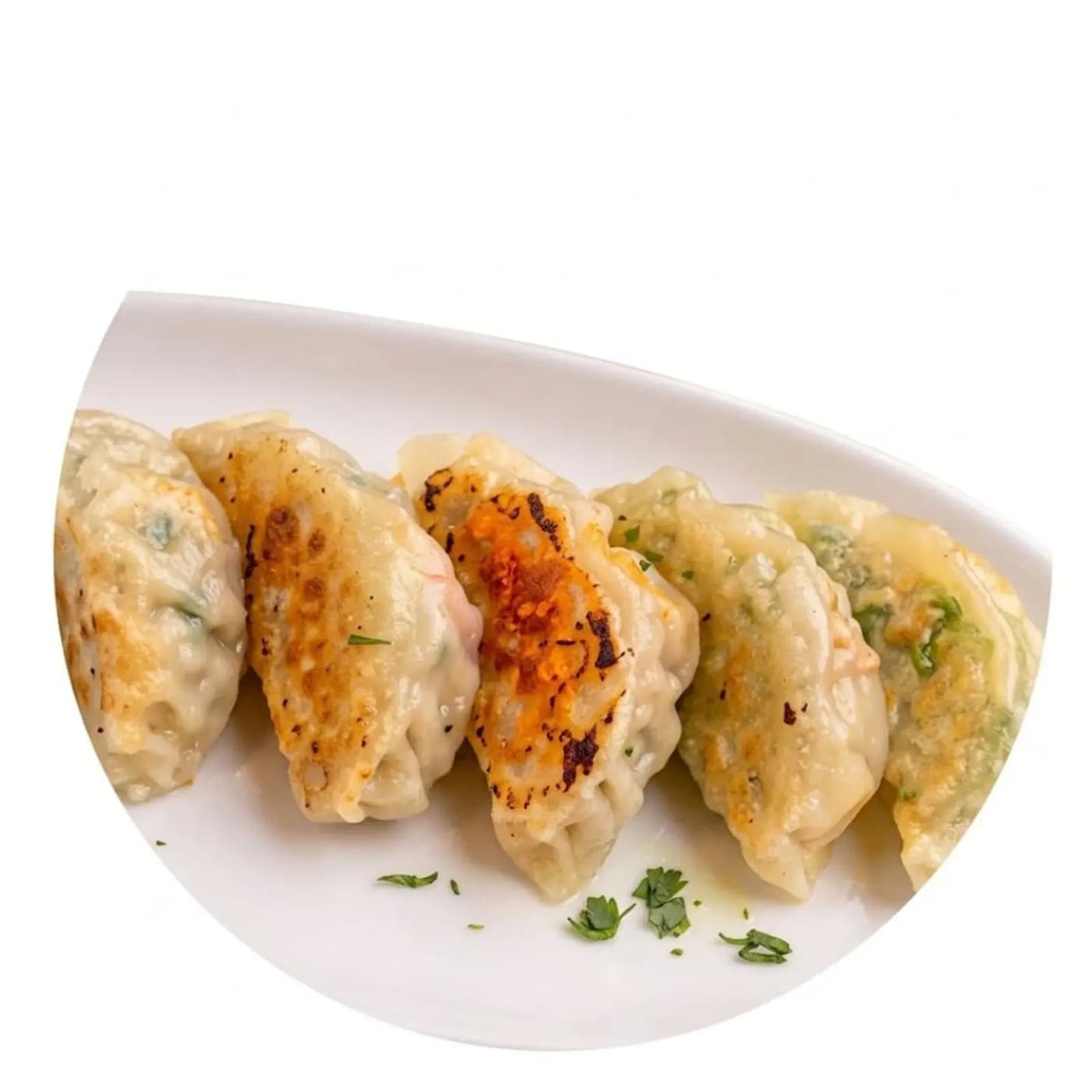 Gyoza Dumplings