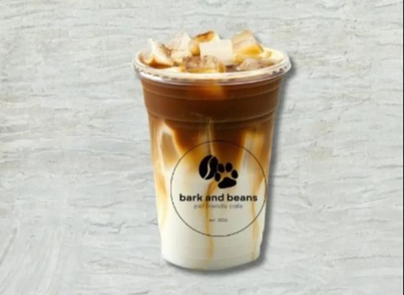 Iced Coffee Latte