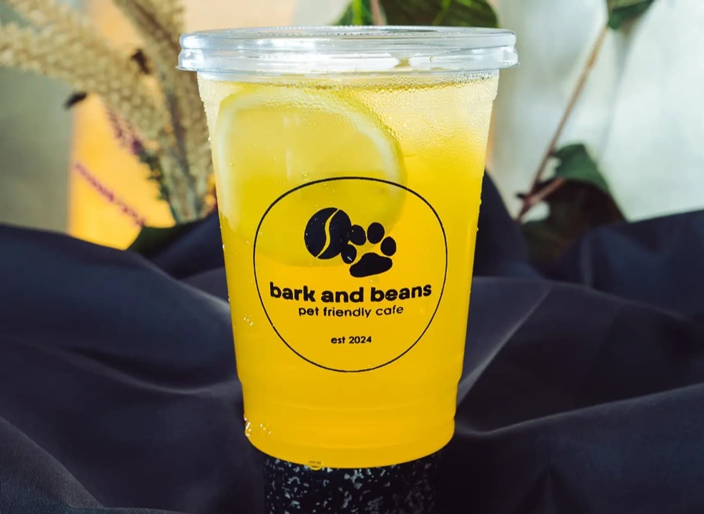Passion Fruit Lemonade