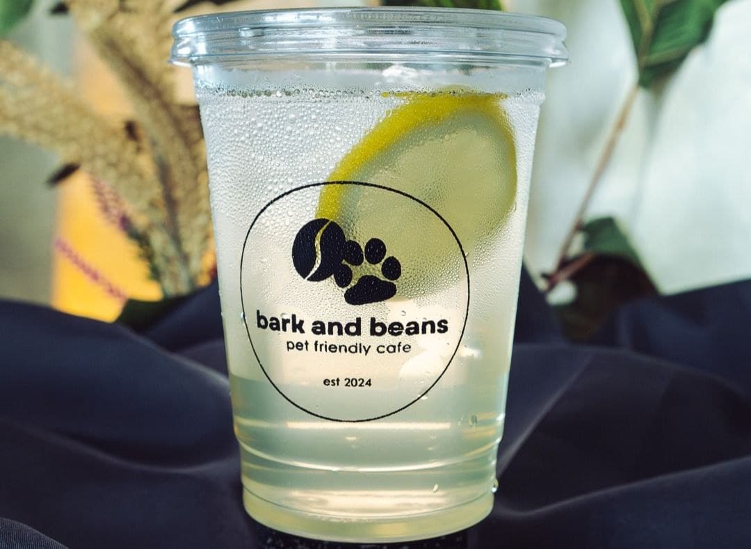 Classic Lemonade