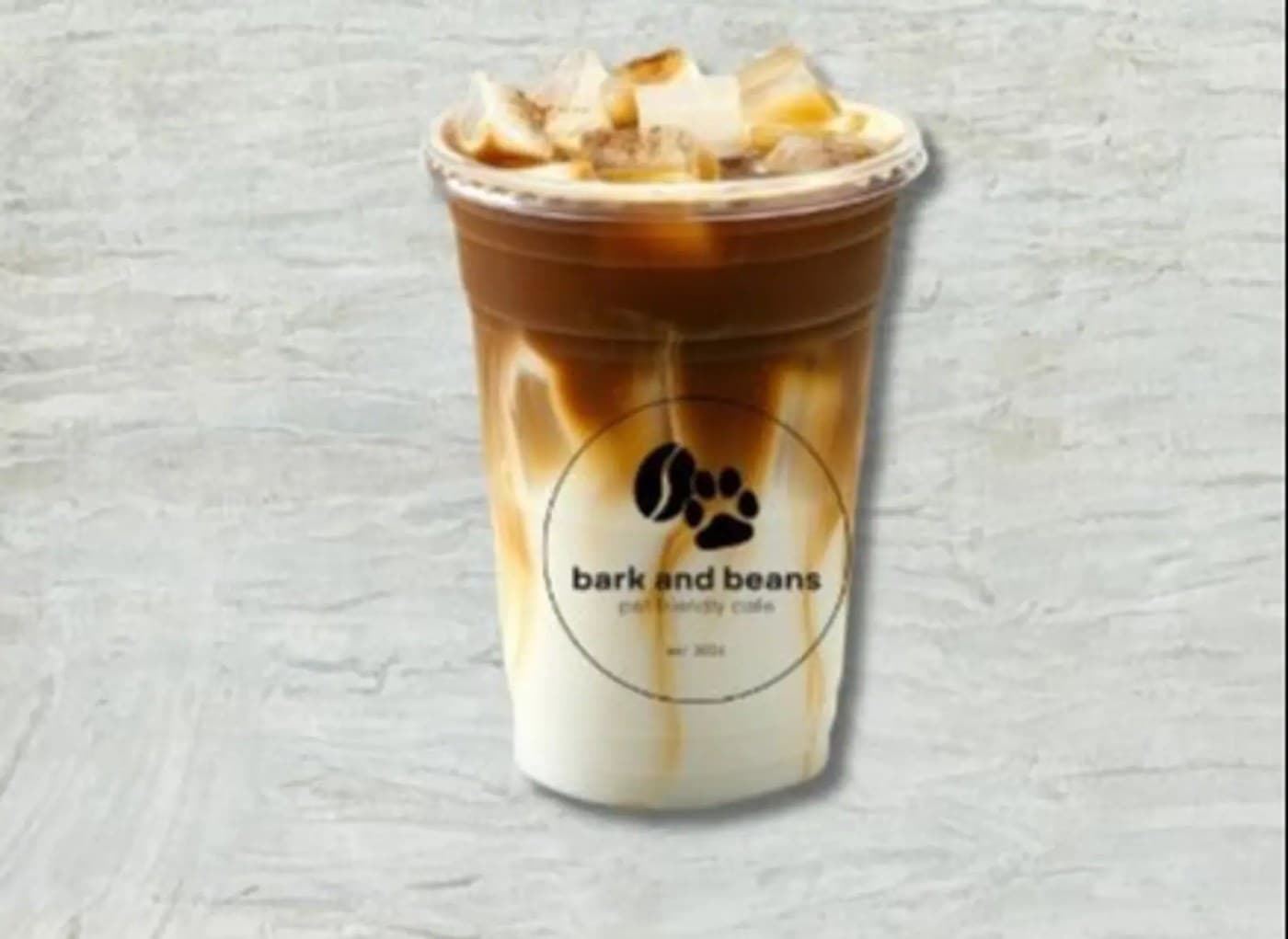 Iced Coffee Spanish Latte