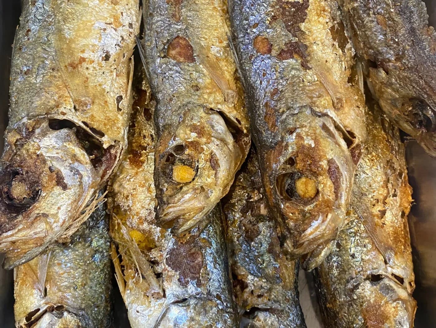 Prito Isda