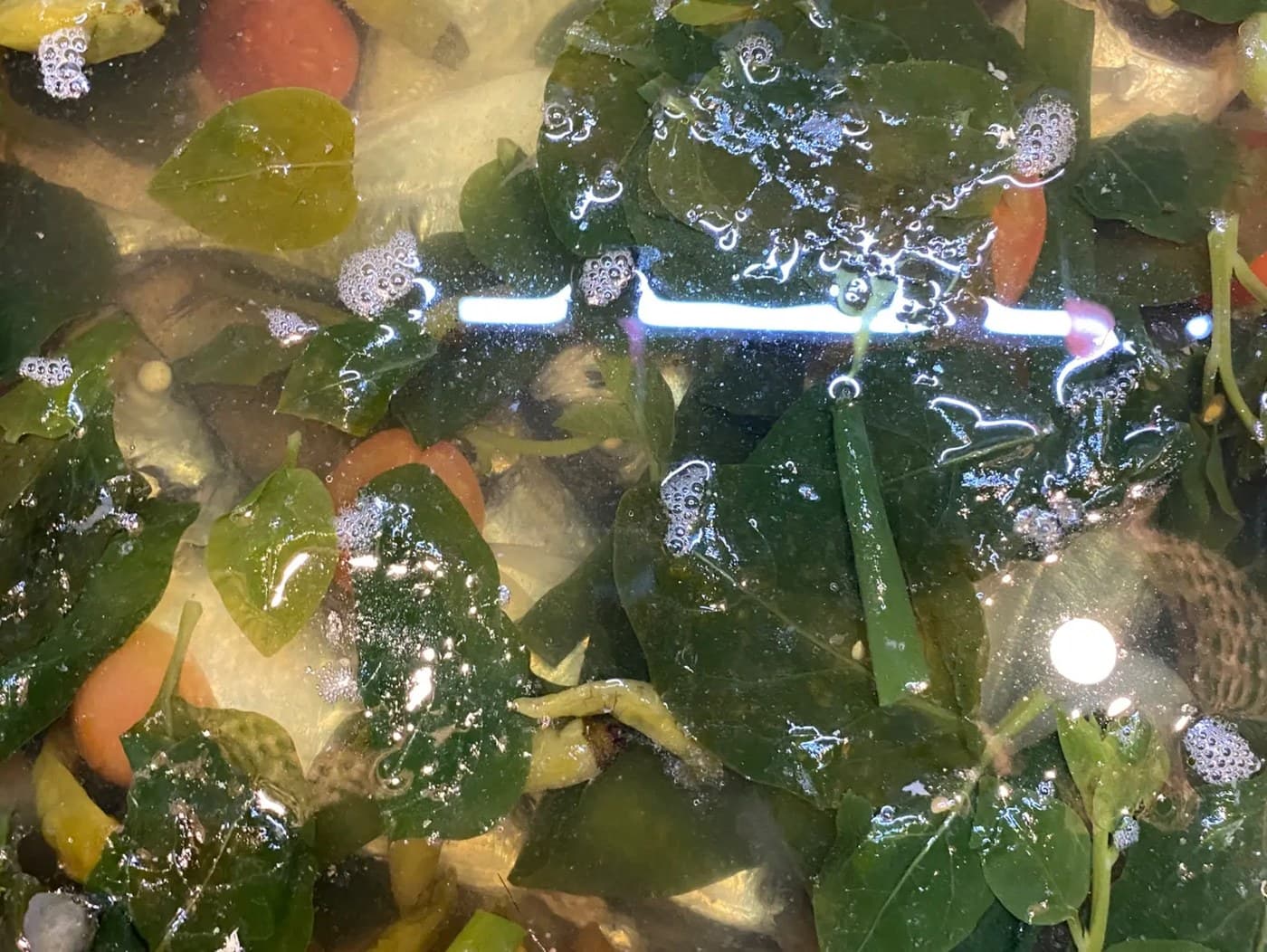 Fish Tinola