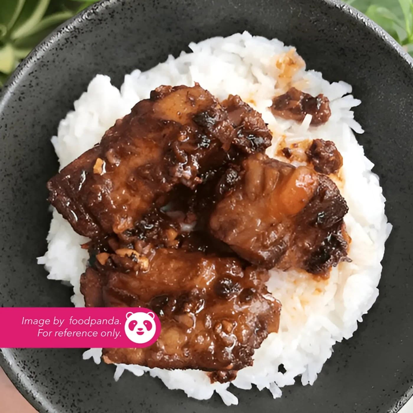 Pata Humba rice meals