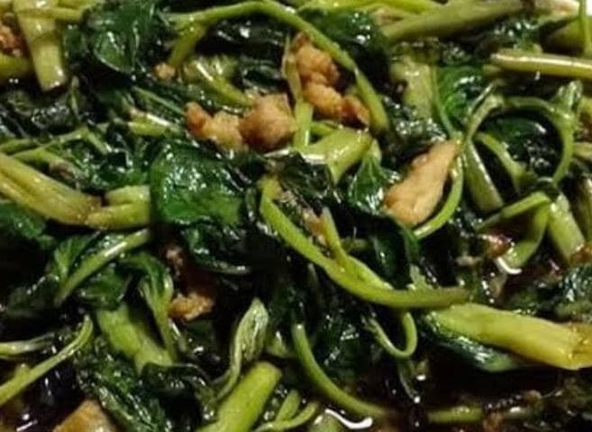 Tangkong Apan Apan
