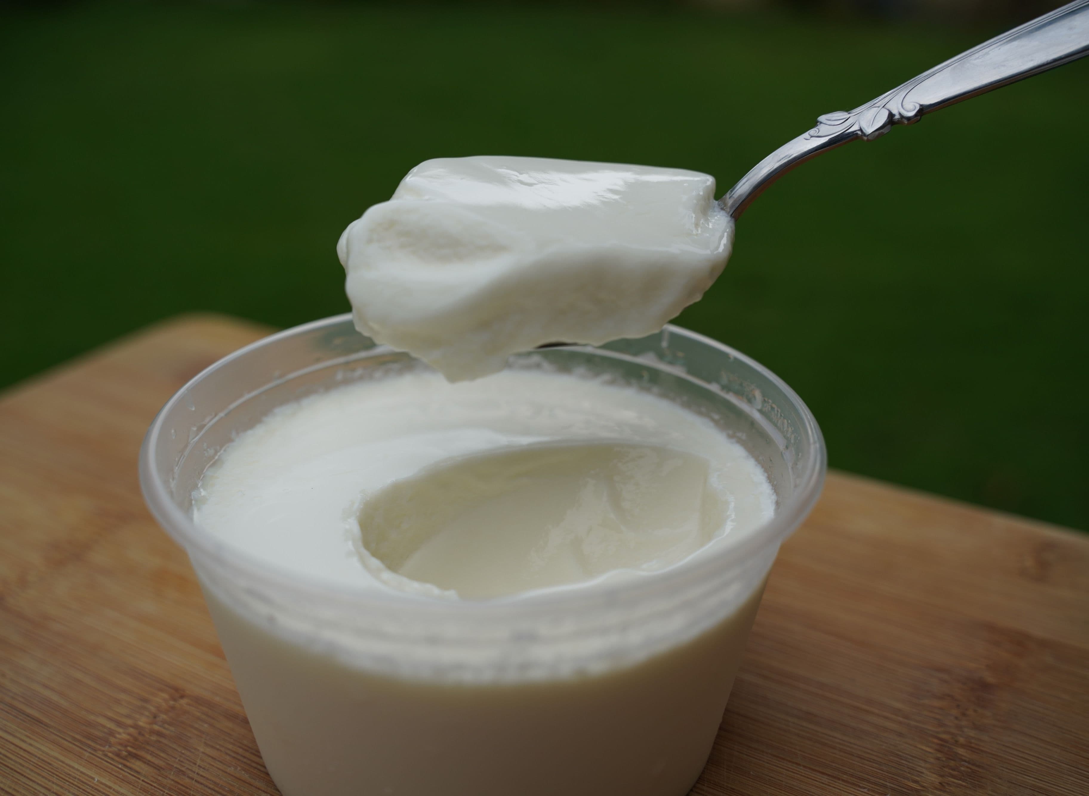 Persian Yogurt