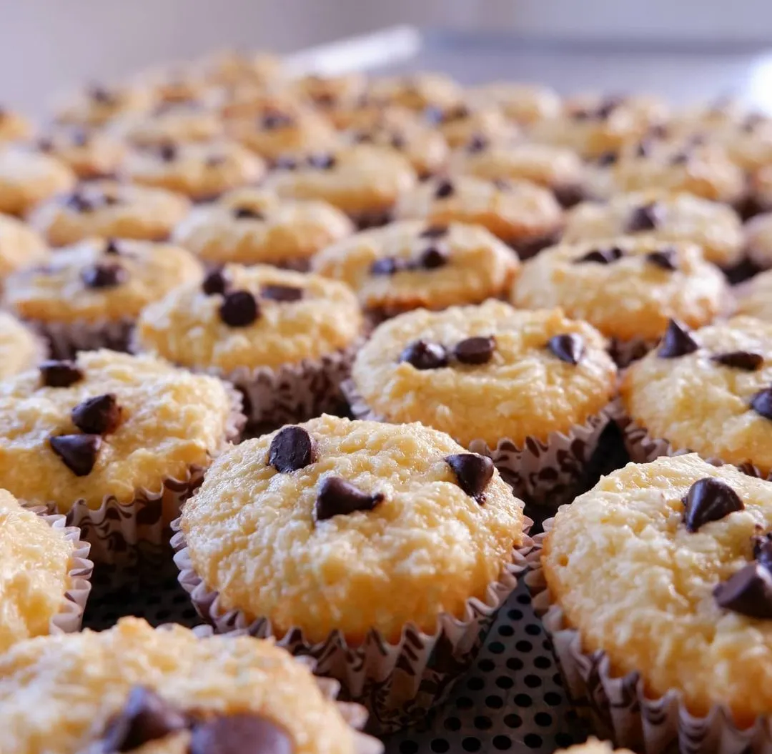 Chocolate Chip Coconut Macaroons 12s